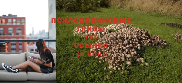 jwh Арсеньев