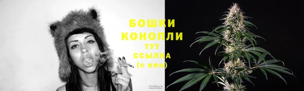 крисы Армянск