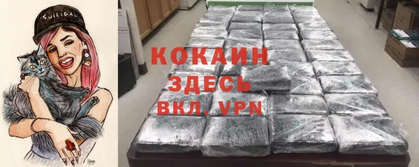 крисы Армянск