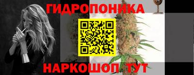эйфоретик Шелехов