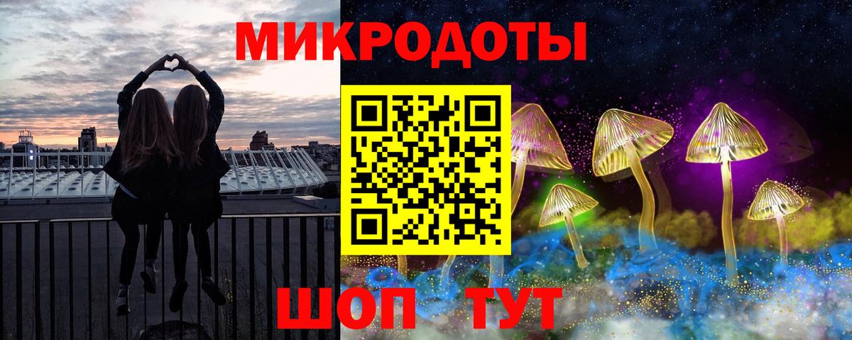 Галлюциногенные грибы Psilocybine cubensis Краснотурьинск